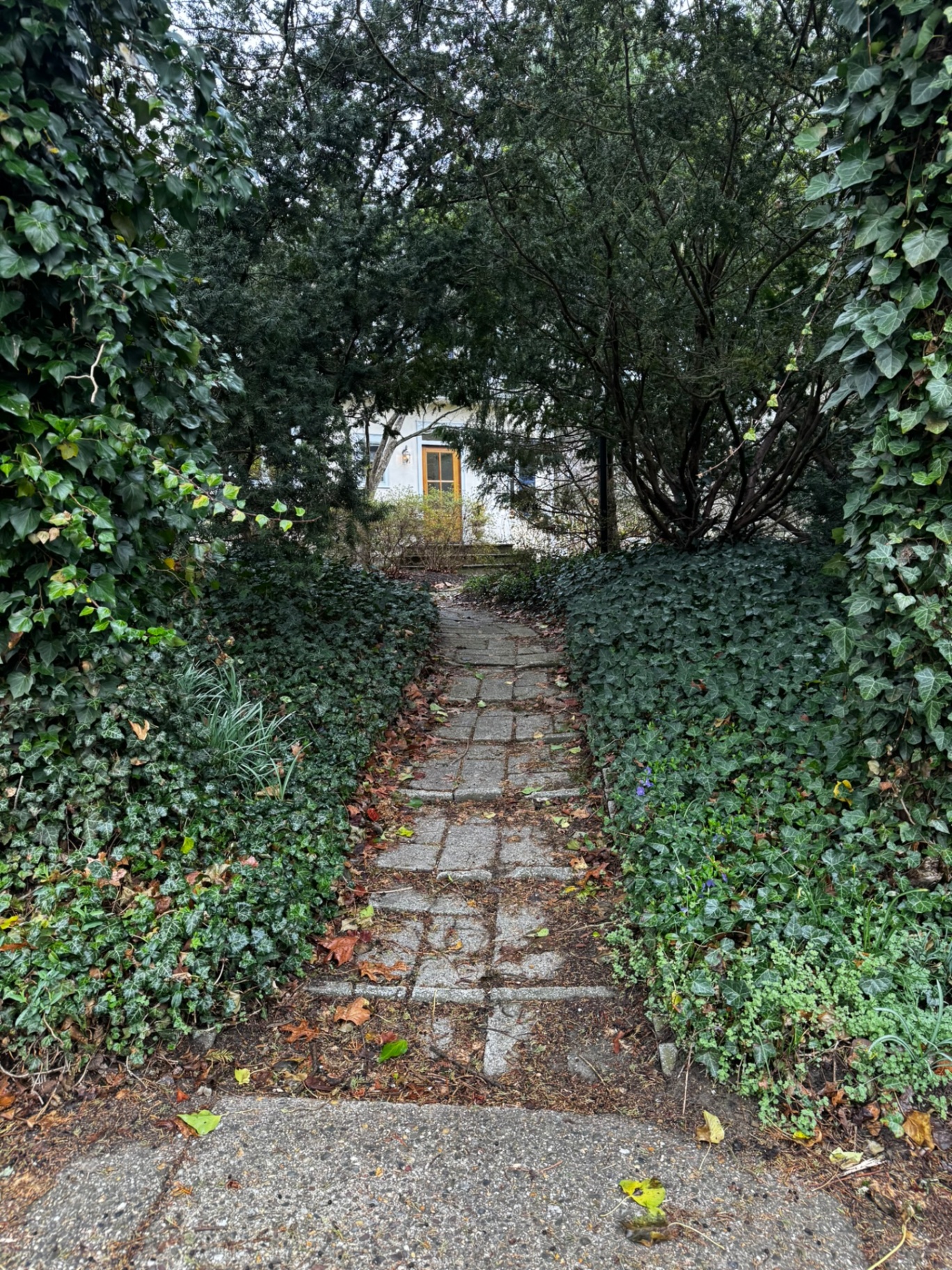 Paver walkway transformation South Jersey – before