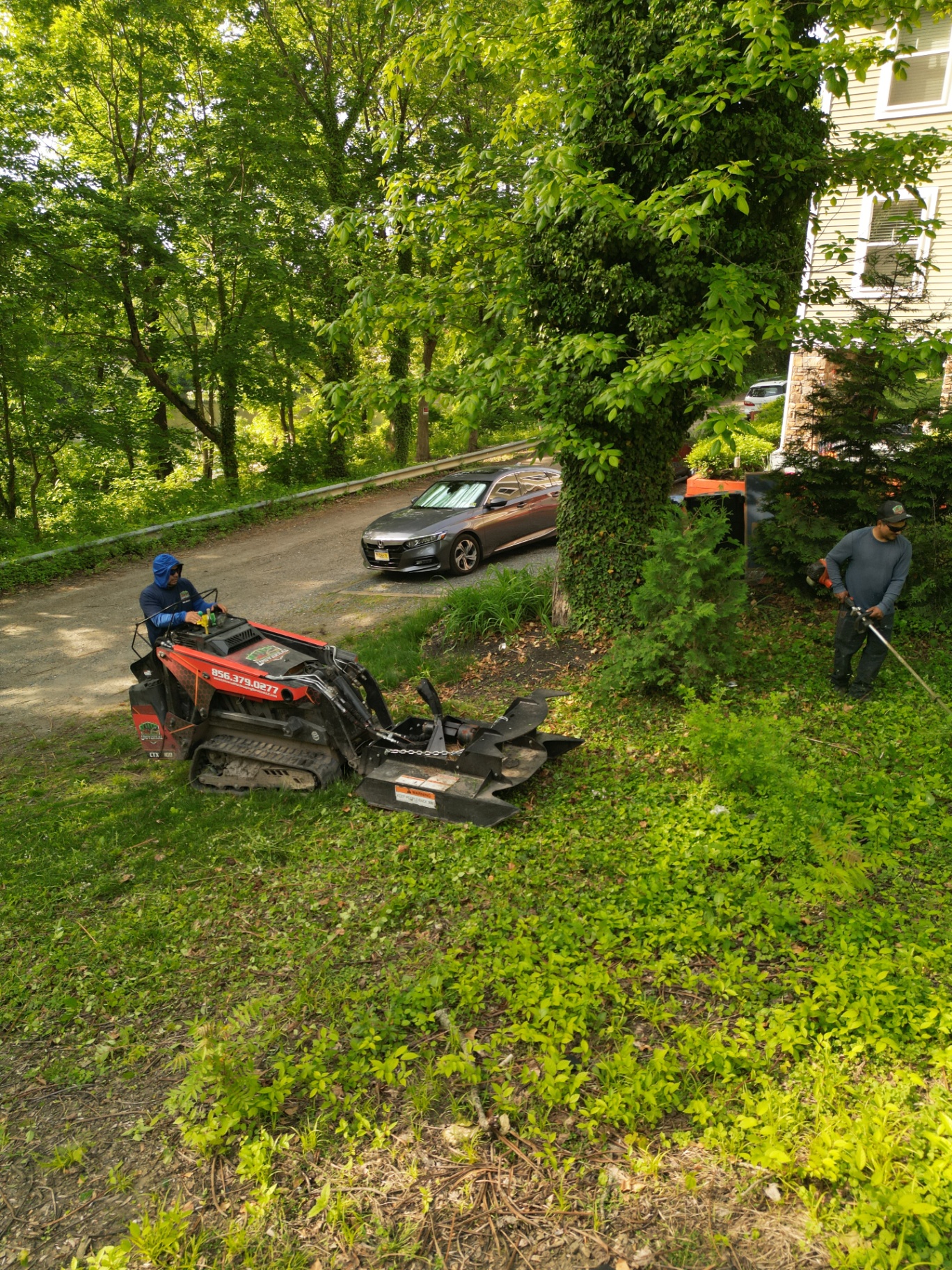 Skid steer with brush cutter clearing overgrown yard in Haddonfield New Jersey