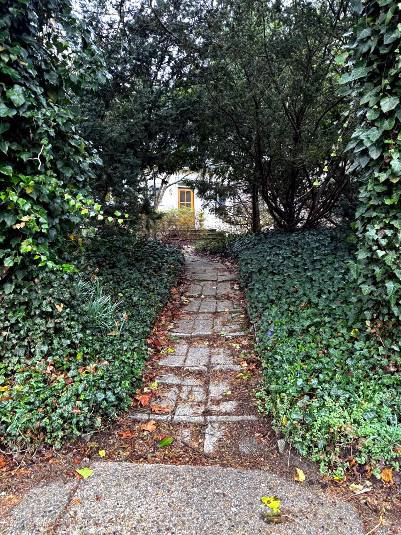 Paver walkway transformation South Jersey – before