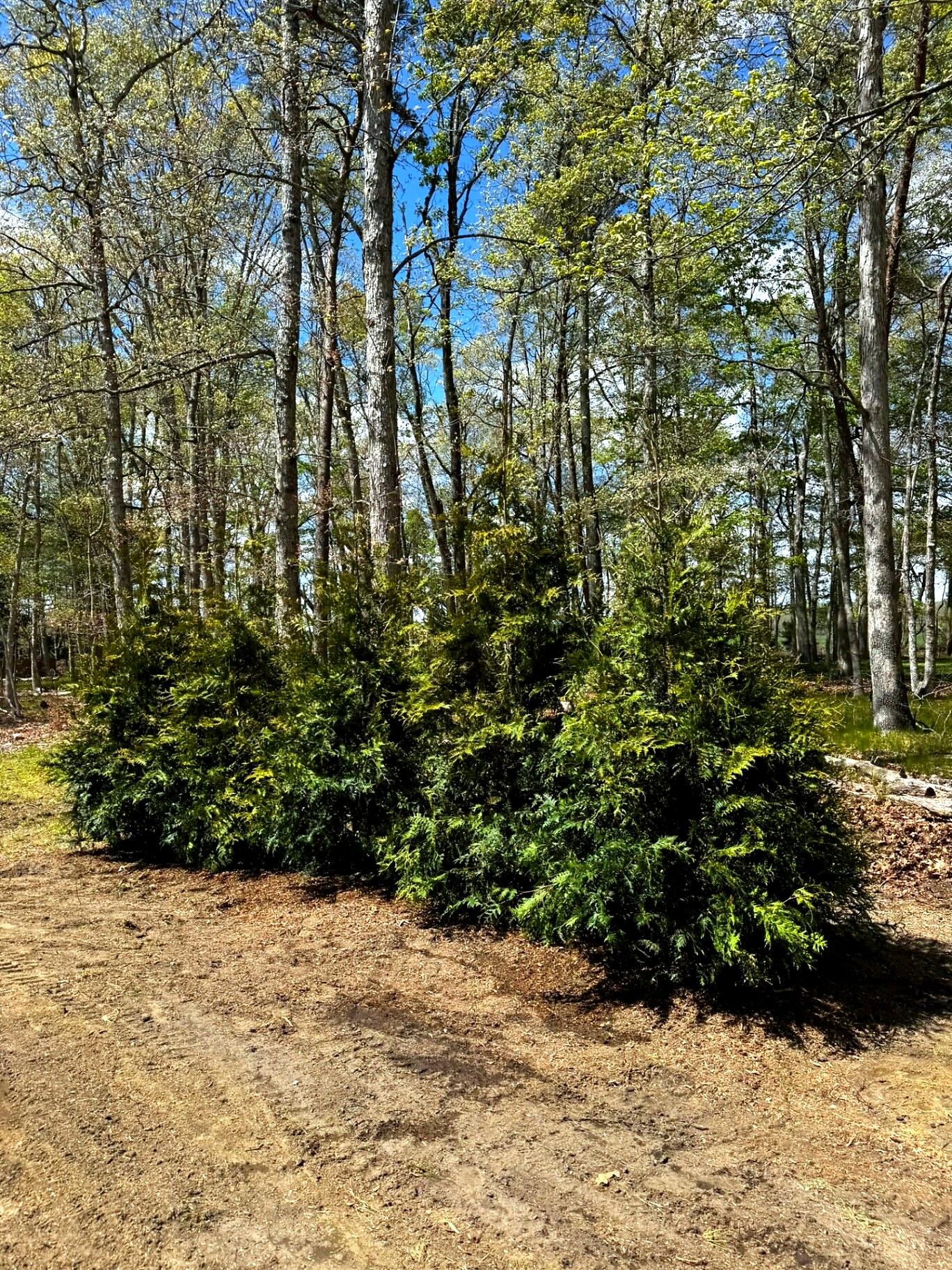 Hardscaping project 3 in South Jersey